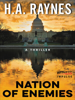 Nation of Enemies - ebook